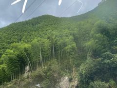 -将军关探险漂流