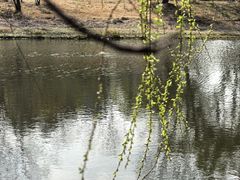 -美兰湖景区