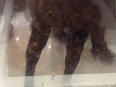 -江湾牛蹄馆