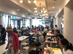 大堂-贝林大翅鲸简餐厅(国家海洋博物馆店)