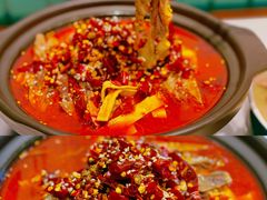 -新仙清汤牛腩(铜锣湾店)