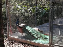 -福建鲤鱼洲酒店