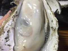 -大富蚝乌东哥饭店·石锅鱼杂·柠檬鸭(革新路店)