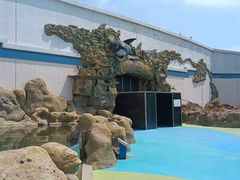 -秦皇岛乐岛海洋王国