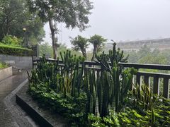 -厦门泰谷酒店(中山路镇海路地铁站店)