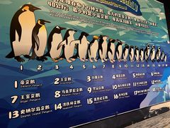 -珠海长隆海洋王国