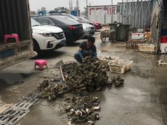 -蚝专家(北滘店)