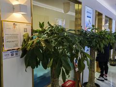 -美可普口腔医院(东街分店)