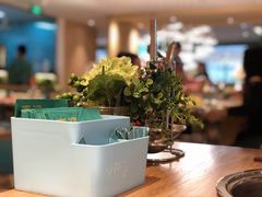 -青瓷火锅料理(西单大悦城店)