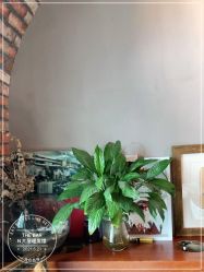 -THE BARN大屋理发馆