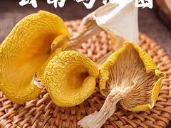 云南野生菌-云南木水花野生菌交易中心