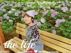 -仁和公园(顺义区)