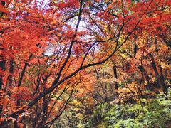 -本溪老边沟风景区