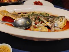 -维园悦谱·海派家常菜(乌鲁木齐南路店)