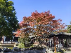 -常熟方塔园