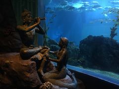 -暹罗海洋世界