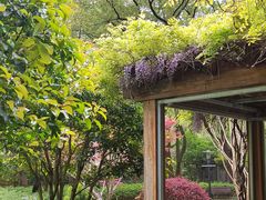 -徐家汇源景区-衡山公园