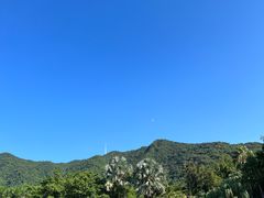 -深圳仙湖植物园