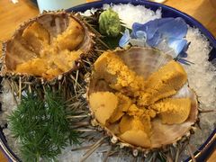 -渔藤(万柳东路店)