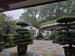 -南山植物园