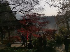 -塔川景区