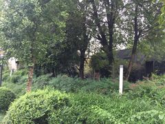 景点-三圣花乡旅游区