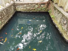-墨池公园