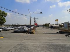 -胜华驾校·小猫学车(银都店)