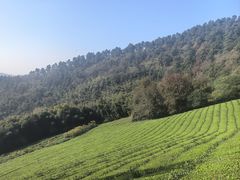 -敬亭山风景名胜区