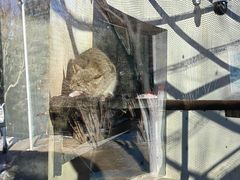 -青藏高原野生动物园