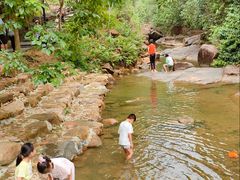 -广州白江湖森林公园