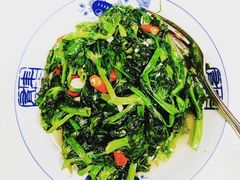 蒜蓉豆苗-倾城