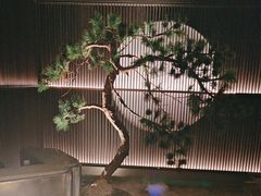 -大拙里·精致融合菜(沙湖桃源国际店)