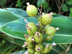 -龙坑生态保护区