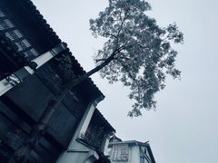 -仓桥直街