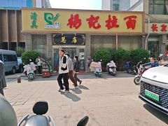 -杨记拉面总店