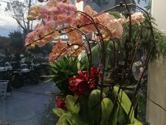 -FEI FEI FLOWER鲜花店·气球派对·宝宝宴布置(虹口德必运动Loft店)