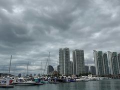 -小猫钓鱼海钓俱乐部(椰梦长廊店)