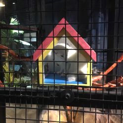 -酷嗒动物文化乐园(cutezoo西溪乐天城店)