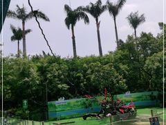 -广州长隆飞鸟乐园