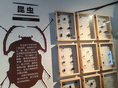 -浙江自然博物院(杭州馆)