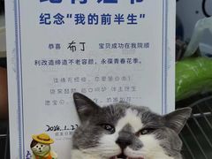 -芭比堂动物医院·心脏专科·夜诊·吉雅分院