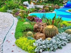 -深圳仙湖植物园
