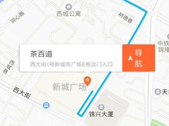 -茶百道(新城市广场店)