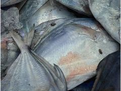 -吕四港大酒店-餐厅