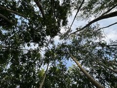 -仁和公园(顺义区)