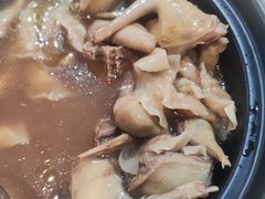 -一煲鸽
