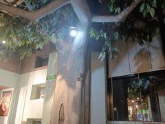 -仙踪林(惠润广场店)