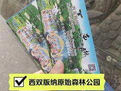 -西双版纳原始森林公园