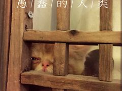 -懒鱼时光馆(沙坪坝店)